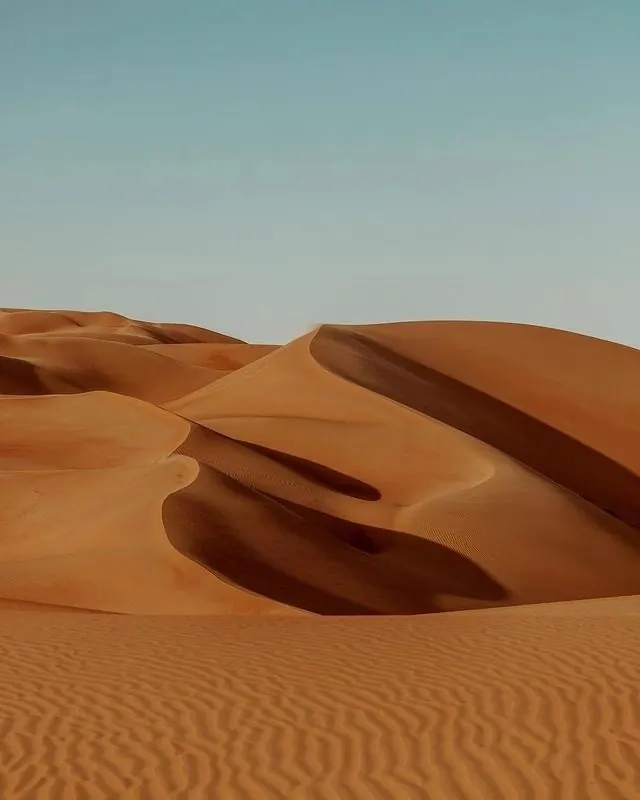 Desert sand dunes landscape with shadows, photographic, minimal, earthy