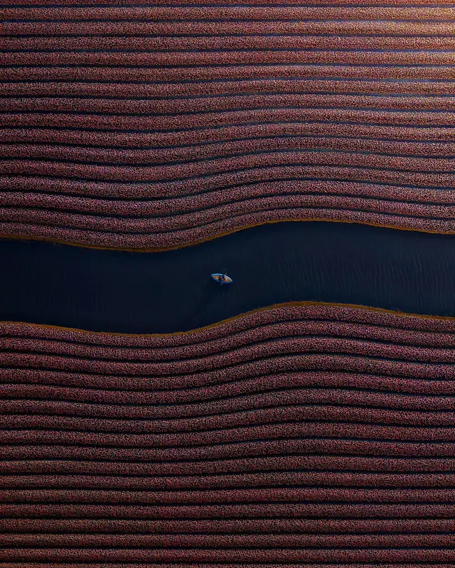 Aerial river through red terrain, photographic, technical, dark