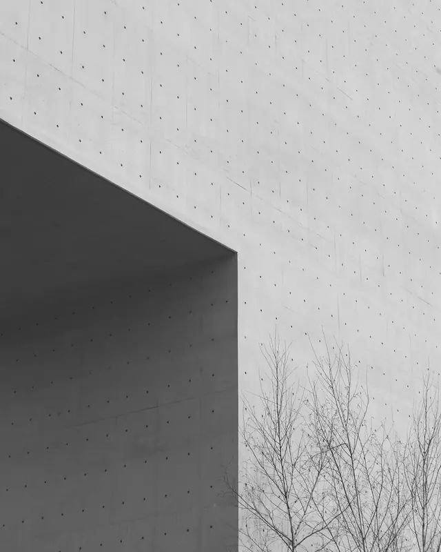 Minimalist architecture with bare tree, photographic, minimalist, light