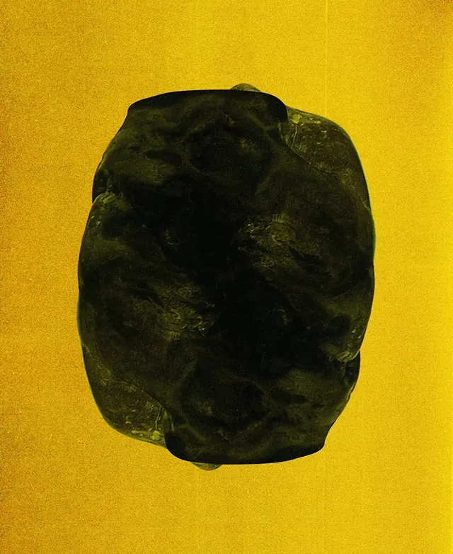 Abstract sculptural form against golden background, photographic, minimal, vibrant