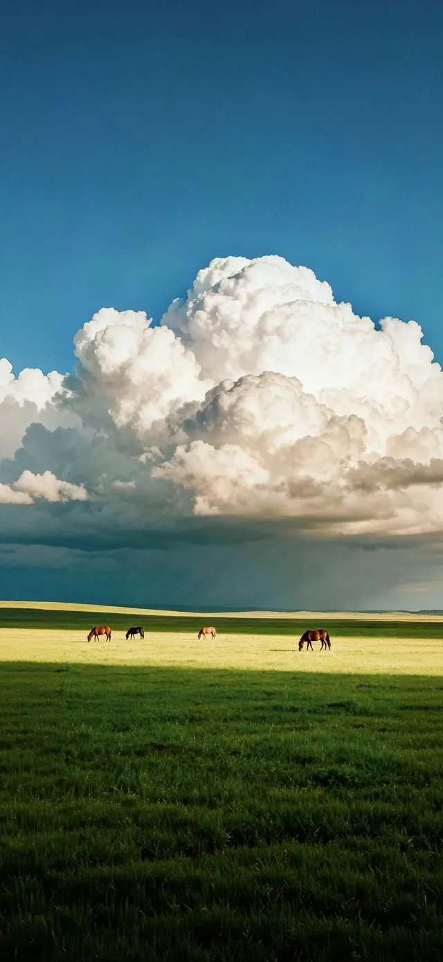 Horses grazing landscape with dramatic clouds, photographic, minimalist, cool