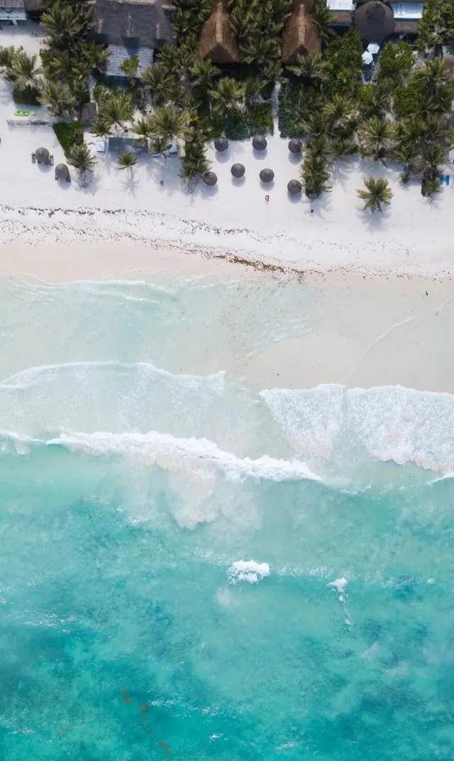 Tropical Beach Aerial View