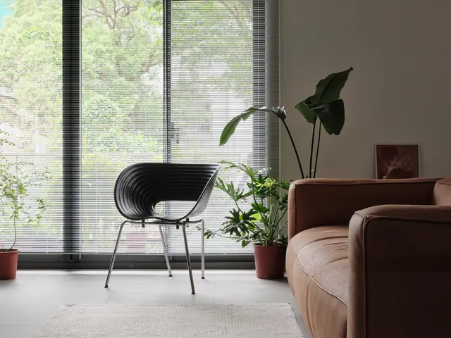 Modern Interior Living Space
