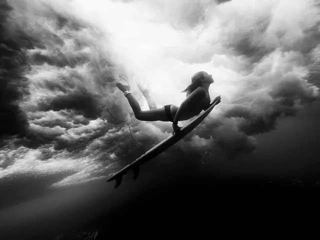 Monochrome Skydiver Silhouette
