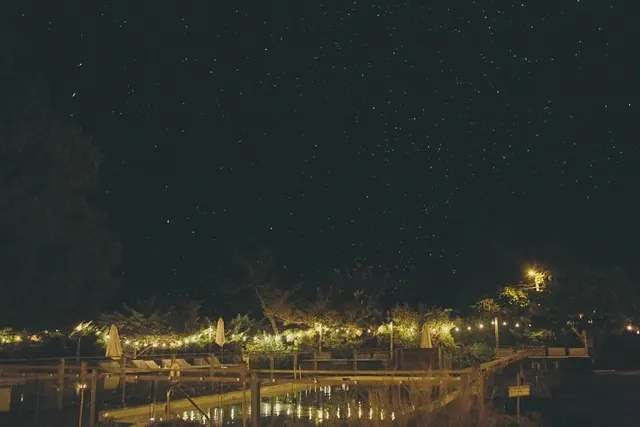 Nighttime Waterfront Scene