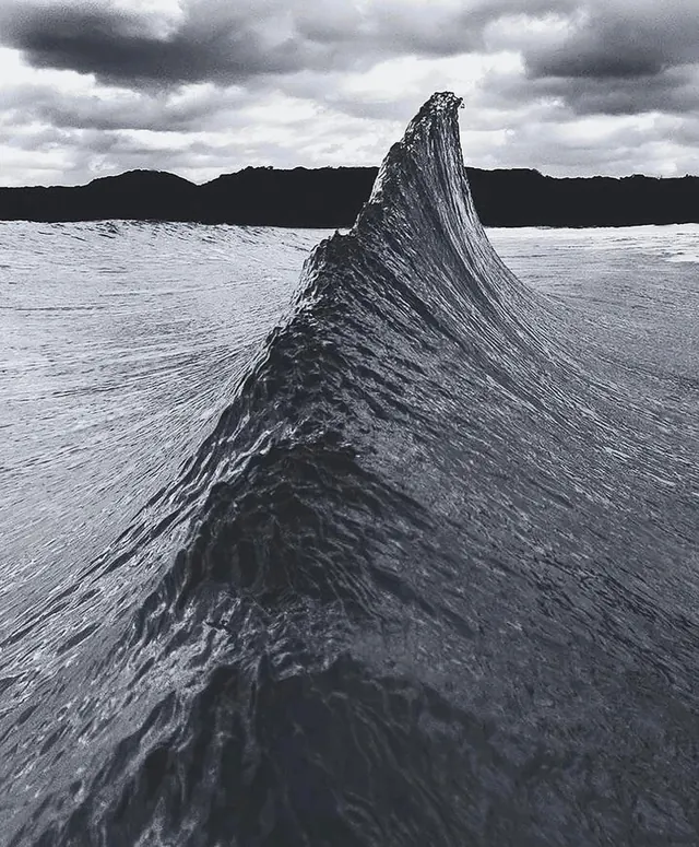 Monochrome Ocean Wave