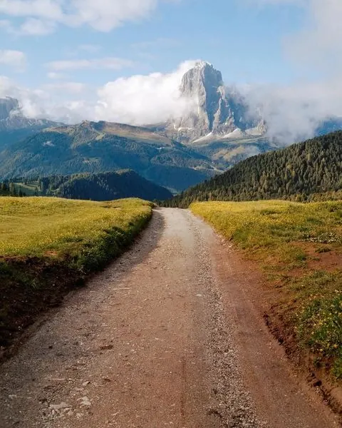 Mountain Landscape with Dirt Road