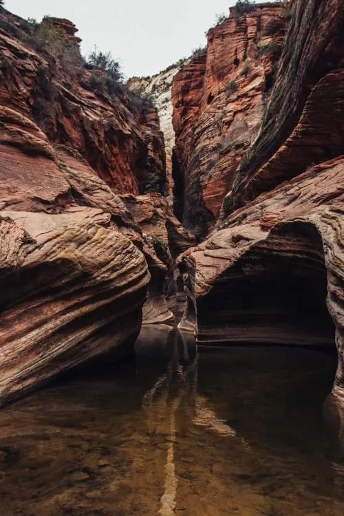 Canyon Reflection