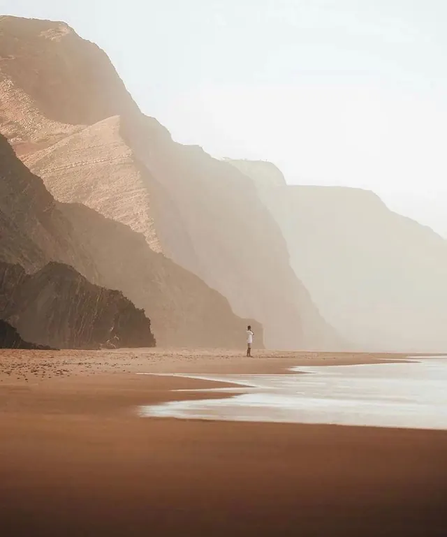 Mist-covered coastal landscape