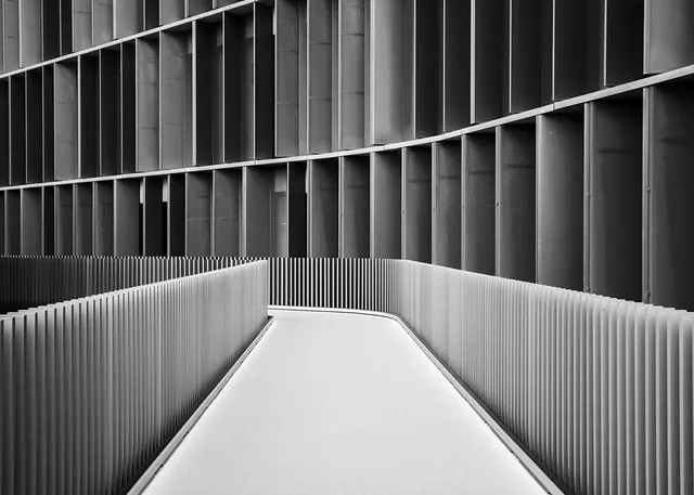 Architectural Ribbed Structure