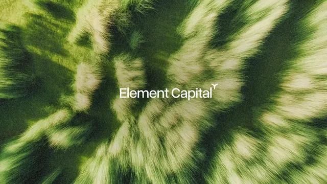Element Capital Visual