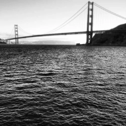Black and White Bridge Landscape