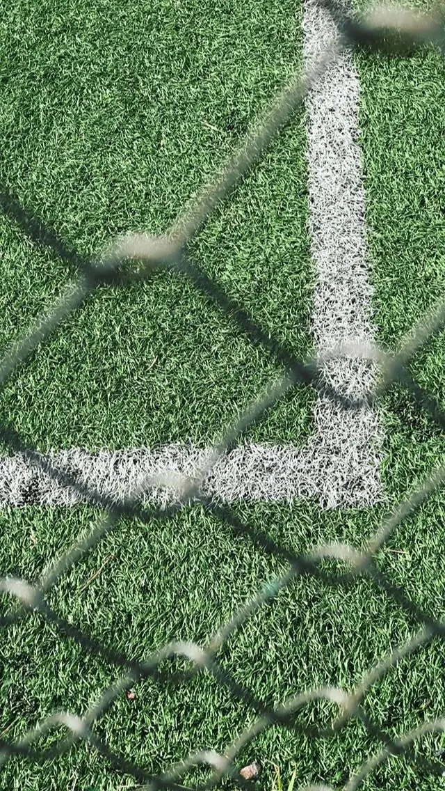 Artificial Turf and Chain Link Fence