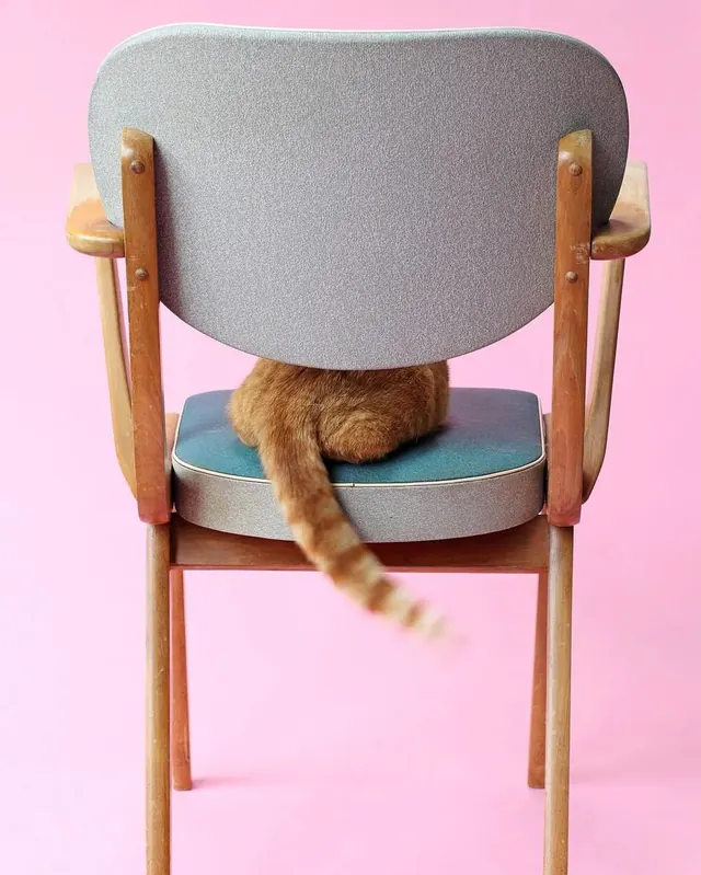 Modern Chair with Fur Accent