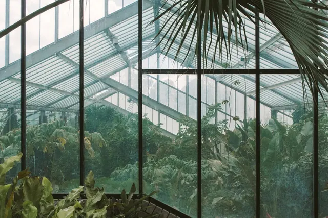 Greenhouse Interior Architecture