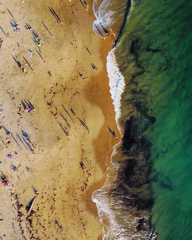 Aerial Beach Landscape