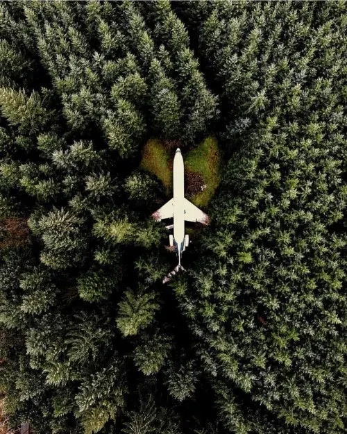 Airplane flying over forest with heart-shaped clearing, photographic, minimal, dark
