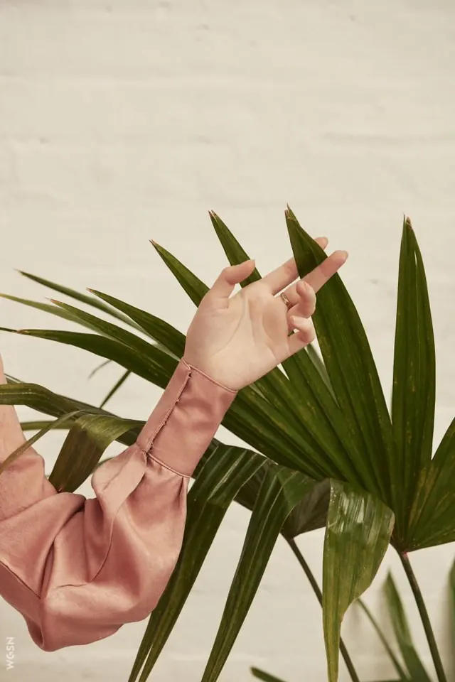 Satin Sleeve and Palm Leaves, photographic, minimal, warm