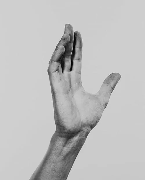 Monochrome Hand Gesture