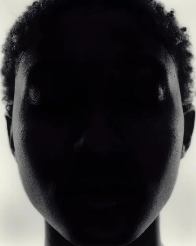High-Contrast Portrait Silhouette