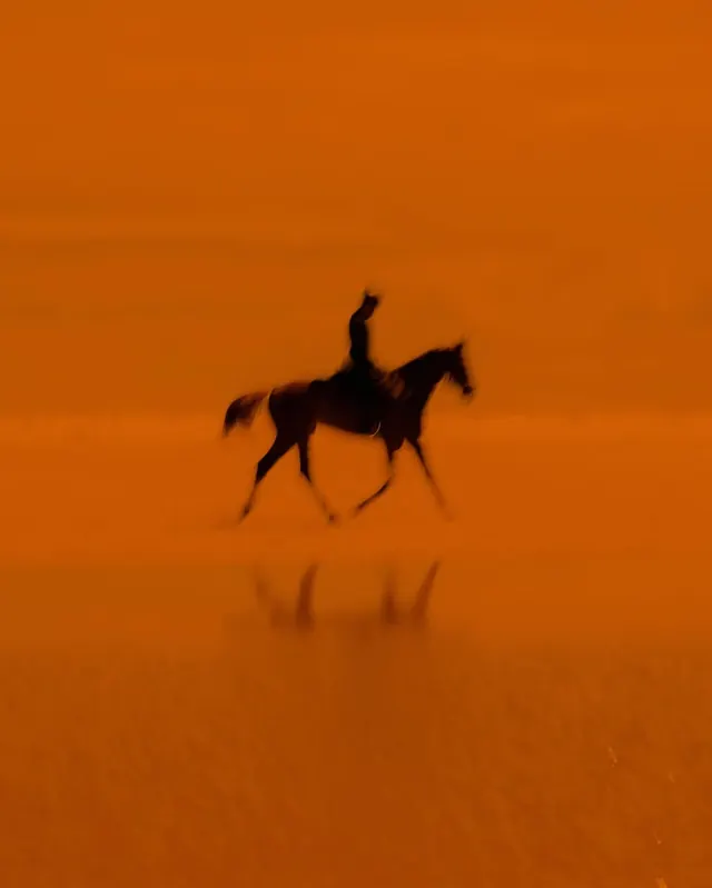 Silhouette of a Horse in Orange Mist