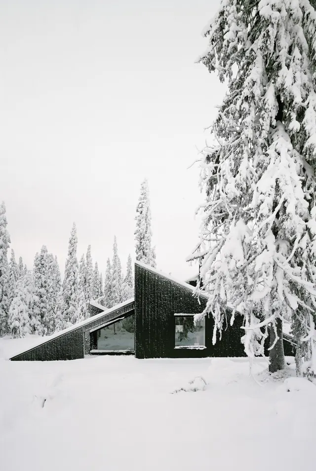 Snowy Cabin Landscape