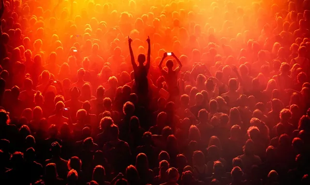 Concert Crowd Silhouette