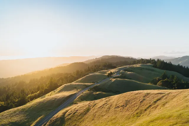 Rolling Hills Landscape