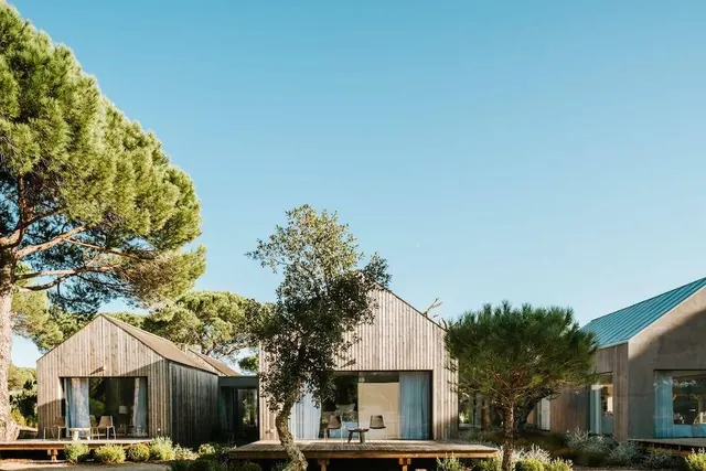 Modern Architecture with Pine Trees