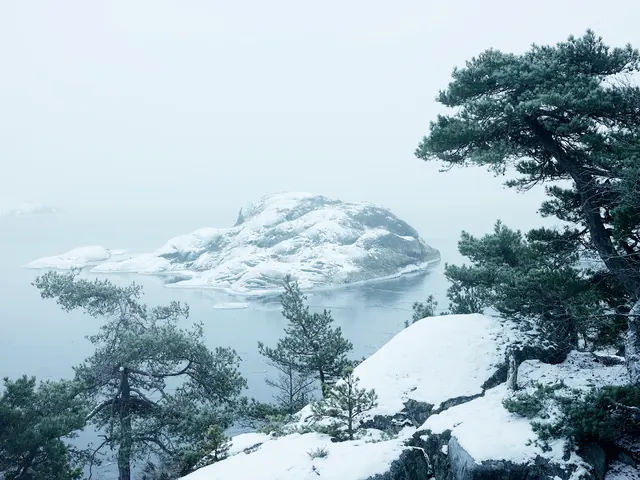 Snowy Coastal Landscape