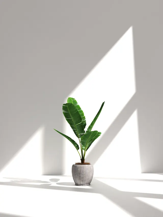 Minimalist Interior Shadow Play