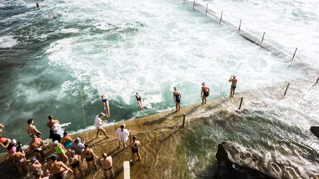 People Swimming in Ocean