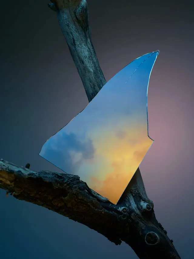 Broken mirror on branch at sunset, photographic, abstract, warm