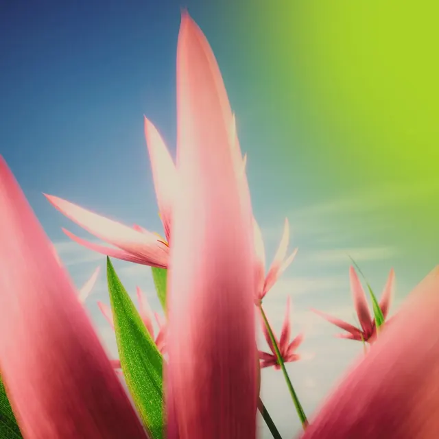 Pink tropical flower worm's-eye view, photographic, vibrant, vibrant