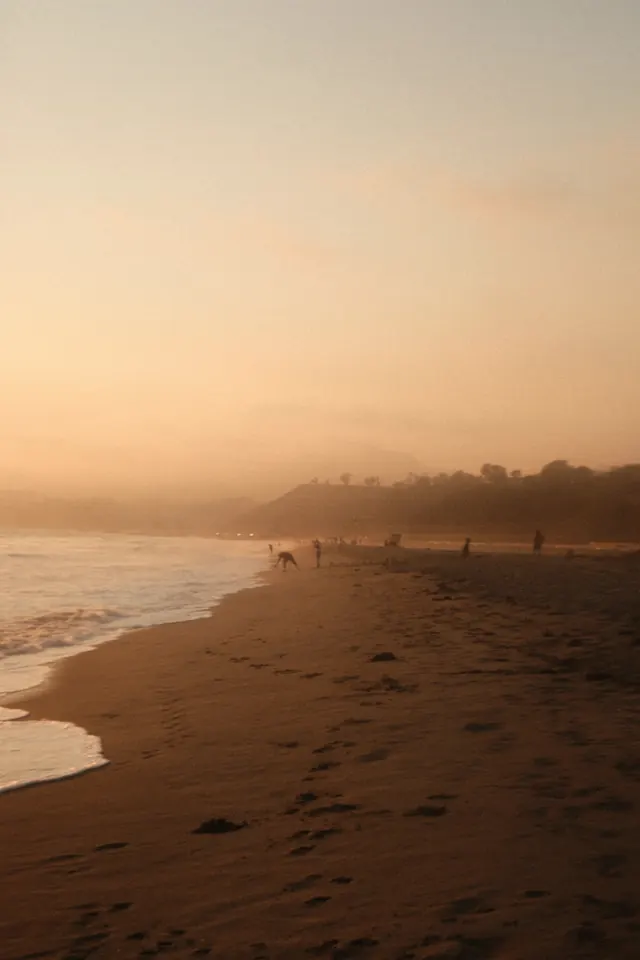 Golden hour hazy beach scene, photographic, organic, warm
