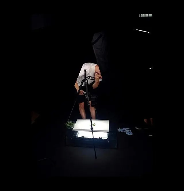 Live Performance Stage Lighting