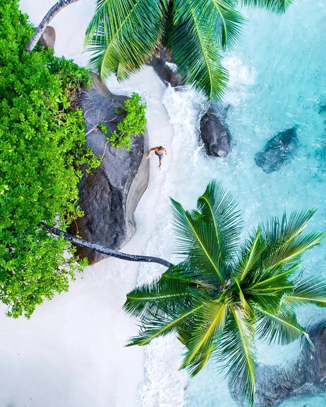 Tropical Beach Aerial View