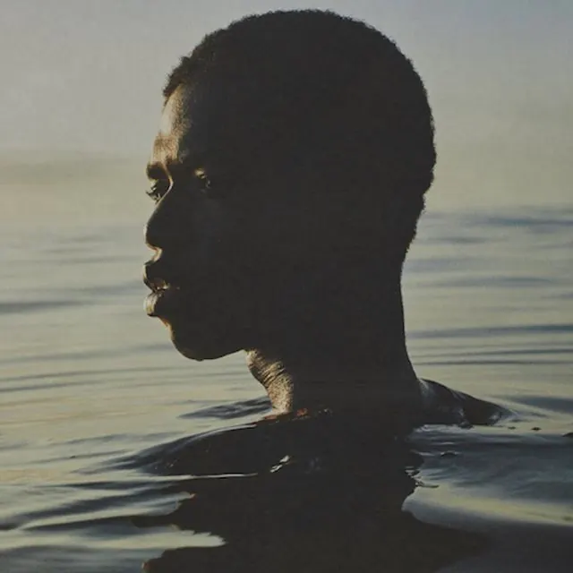 Silhouette in Water