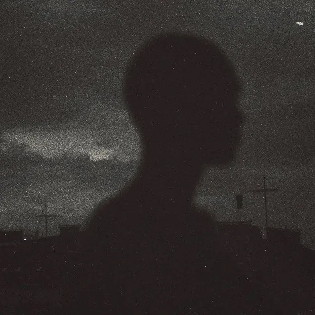 Grainy night silhouette over skyline, photographic, monochrome, monochrome