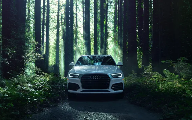 Audi Q3 in sunlit redwood forest, photographic, luxury, dark