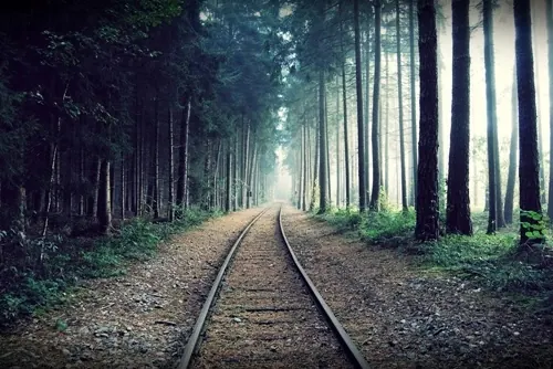 Forest Railway Path, photographic, organic, dark
