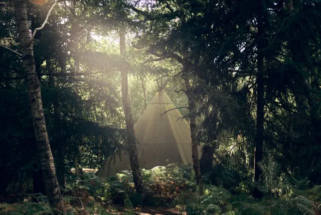 Tipi tent in sunlit forest glade, photographic, organic, warm