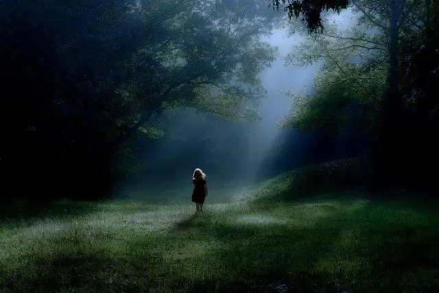 Mystical Forest Light, photographic, organic, dark