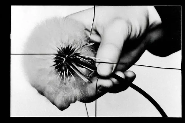 Hand Holding a Flower with Grid Overlay, monochrome, technical, monochrome