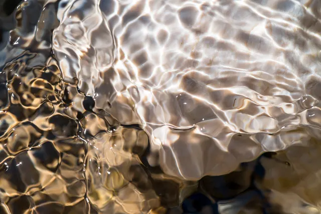 Caustic Water Ripples, organic, photographic, warm