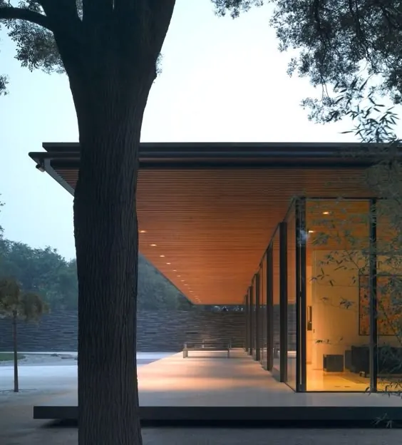 Modernist Architecture with Wood Ceiling, minimal, photographic, muted