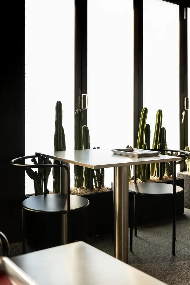 Cactus cafe interior vignette, minimal, brutalist, dark