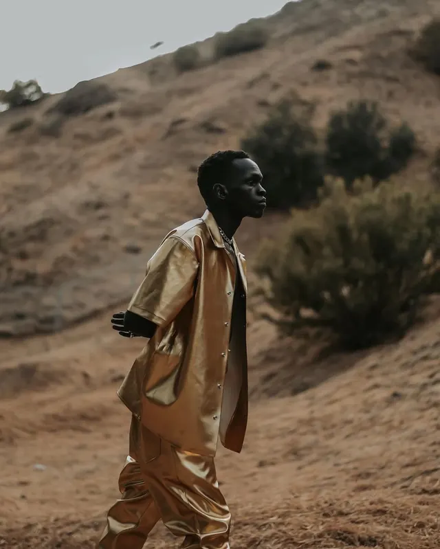Metallic gold suit on hillside, photographic, luxury, warm