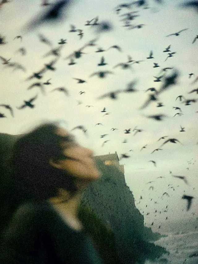 Cinematic cliff with flock of birds, photographic, retro, muted