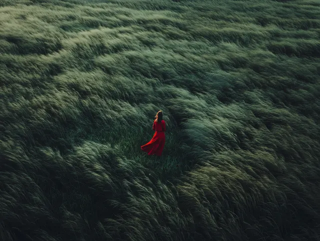 Red dress in wind-swept grass, photographic, minimal, muted